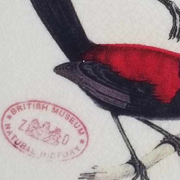 British Museum Ceramic Bird Candy Nut Mint Dish Jewelry Trinket Square Soap Tray - Picture 3 of 7